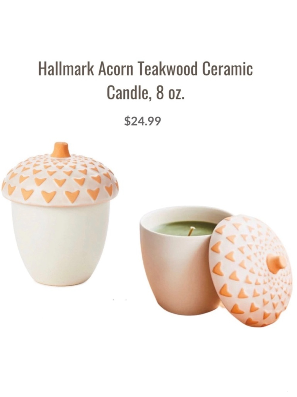 Hallmark Acorn Teakwood Scented Candle